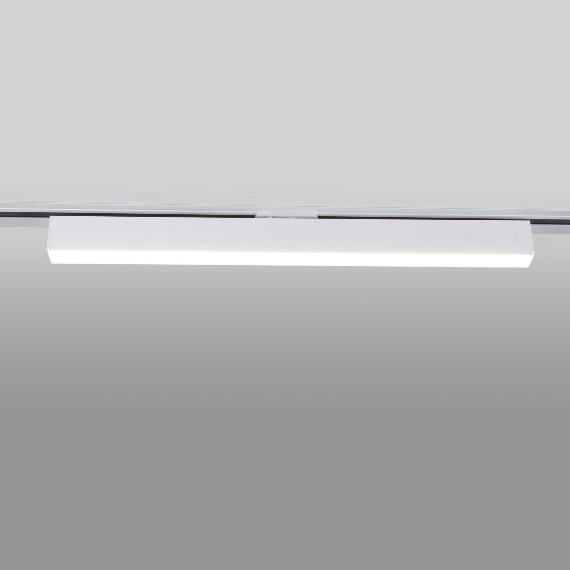 Basic System Трековый поворотный светильник 20W 4200K X-Line белый матовый однофазный