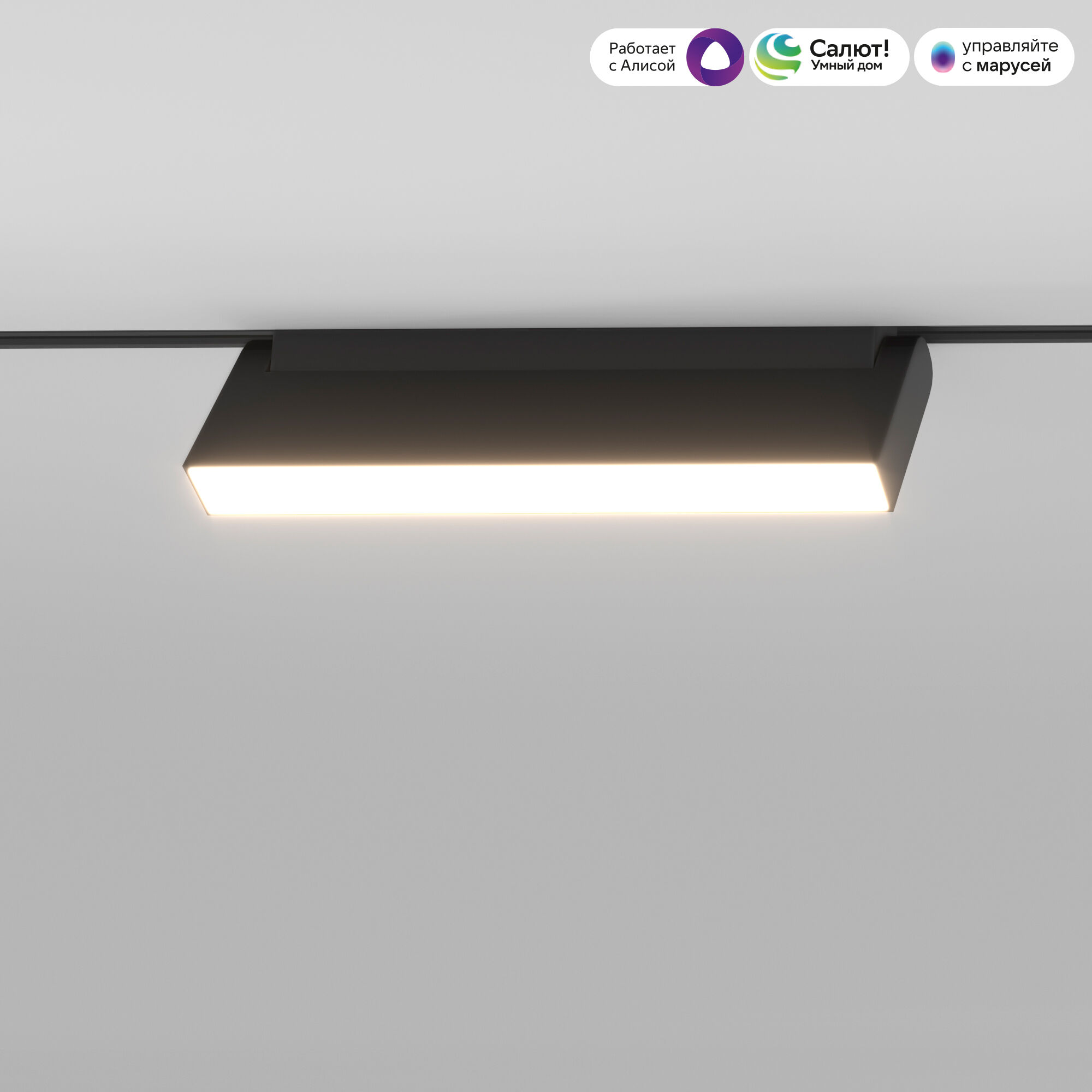 Slim Magnetic Умный трековый поворотный светильник 12W 2700-6500K Dim Kos чёрный