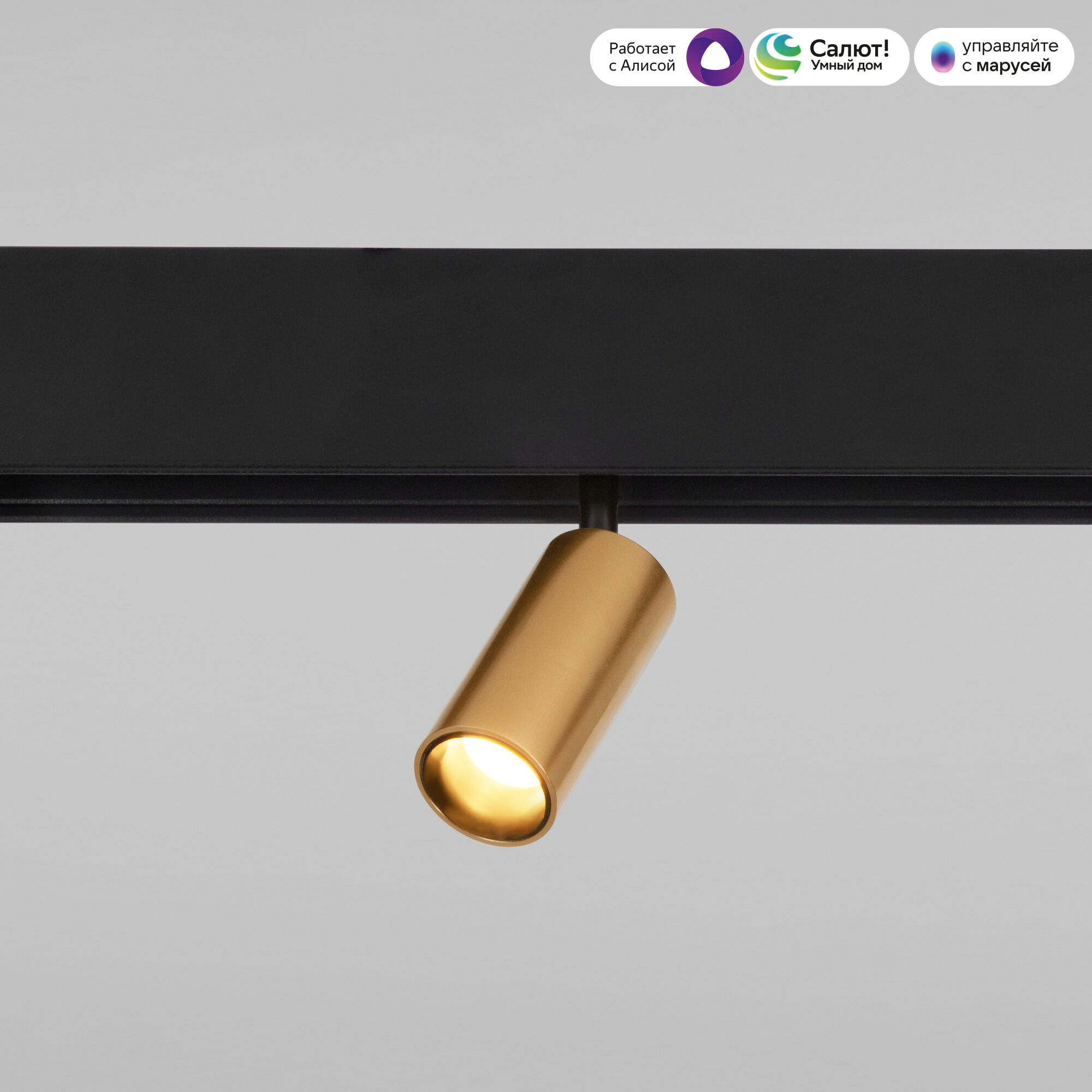 Slim Magnetic Умный трековый поворотный светильник 5W 2700-6500K Dim Cantors латунь