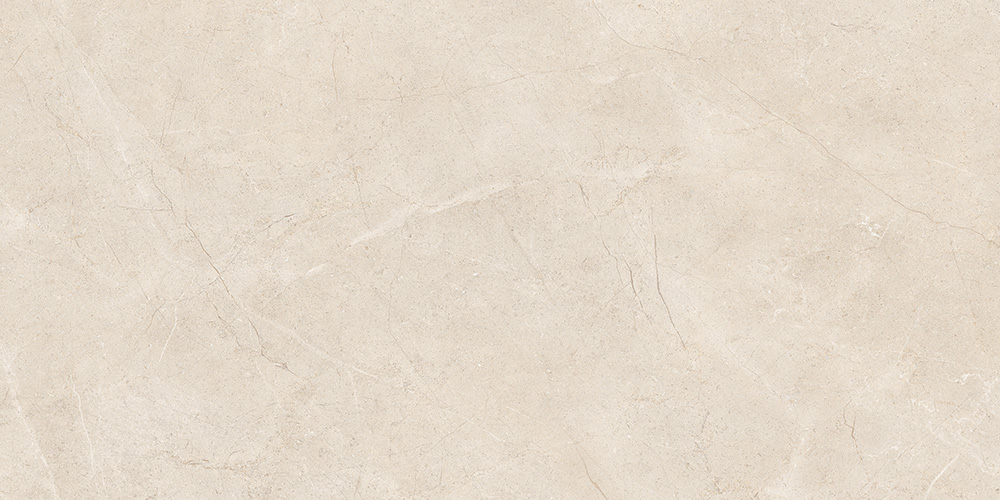 60x120 MoonLight Греж Матовый R10A