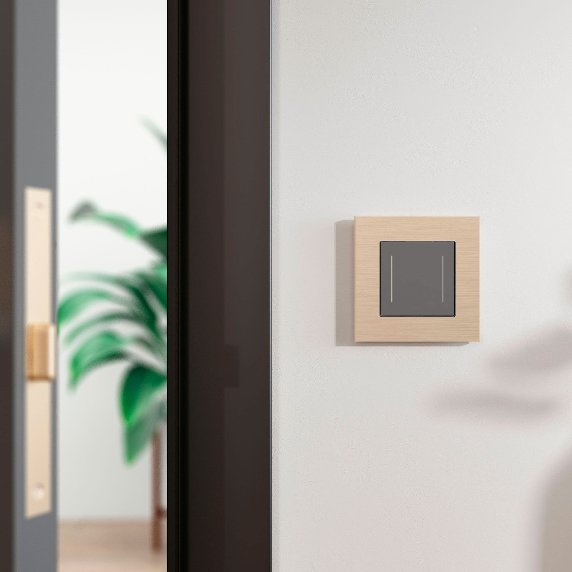 Рамка на 1 пост AluMax (шампань) Werkel