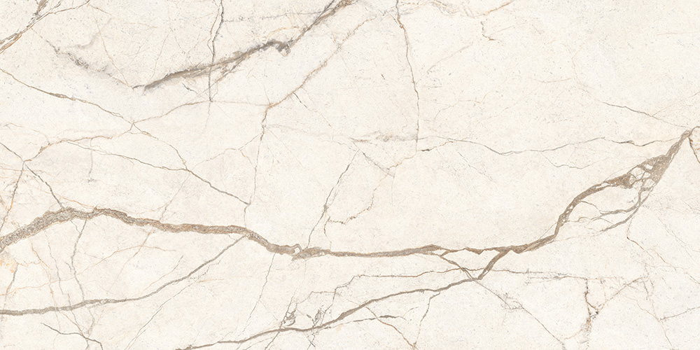 60x120 SilverRoot Слоновая Кость Матовый R10A