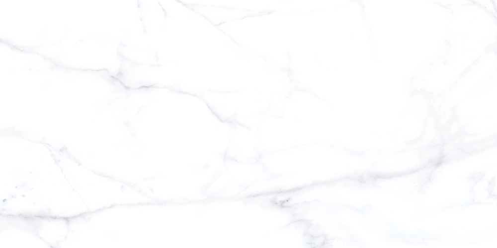 60x120 Statuario Белый Матовый R10A