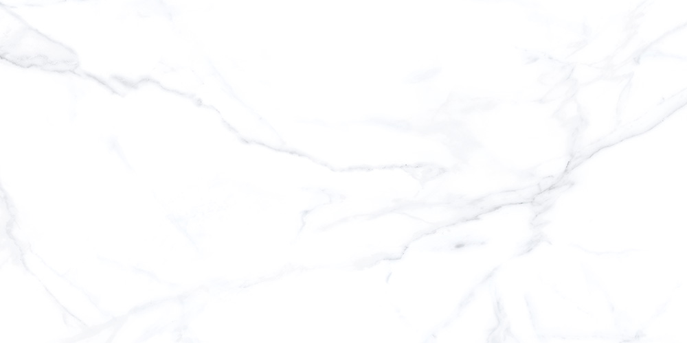 60x120 Statuario Белый Матовый R10A
