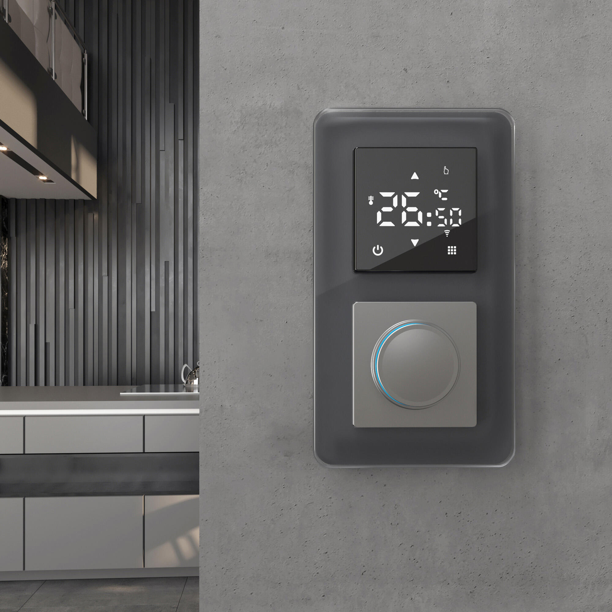 Рамка из стекла на 2 поста Elite графит Werkel