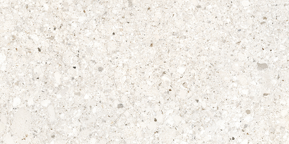 60x120 BiancoRomano Слоновая Кость Матовый R10A