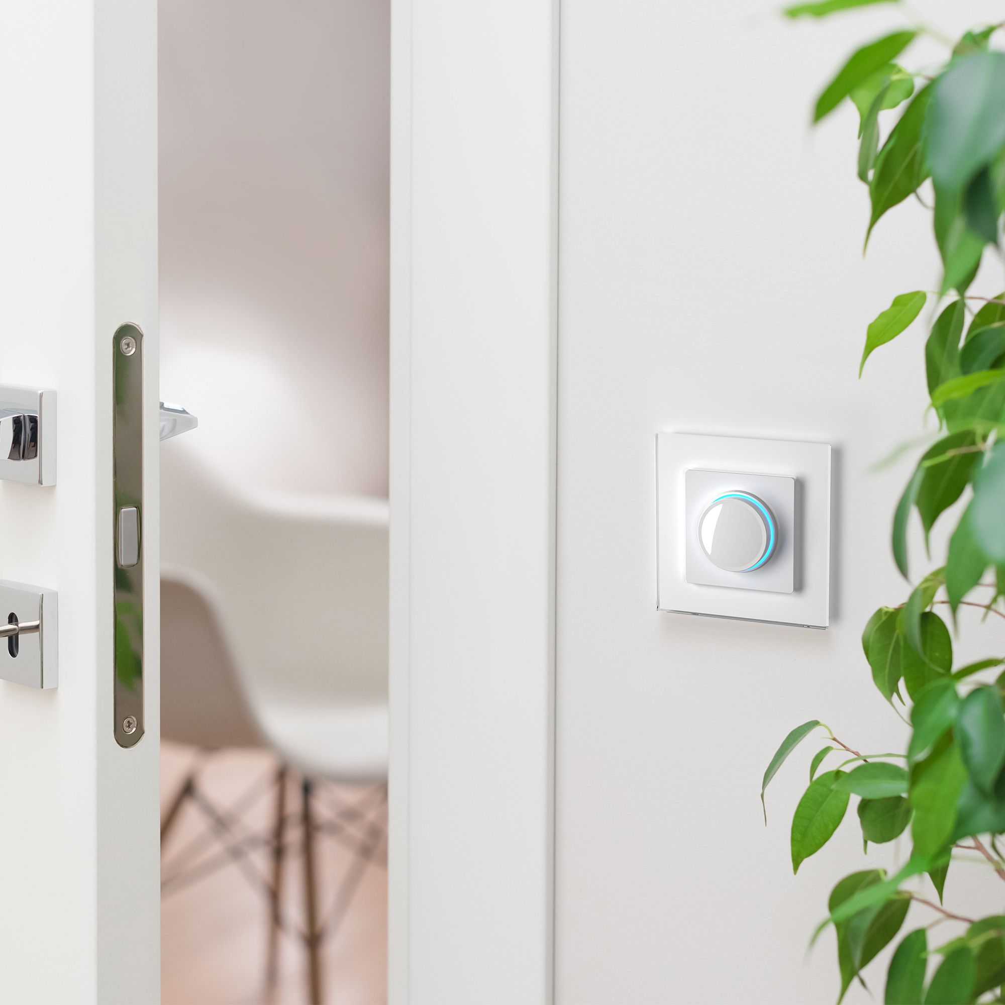 Диммер с подсветкой (белый глянцевый) Werkel