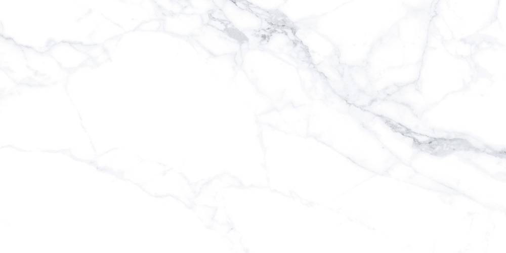 60x120 Statuario Белый Матовый R10A
