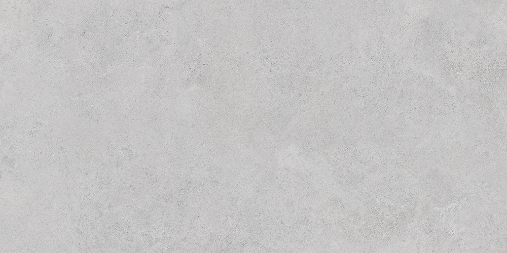 60x120 StoneS Боргония Клауд Серый Матовый R10A