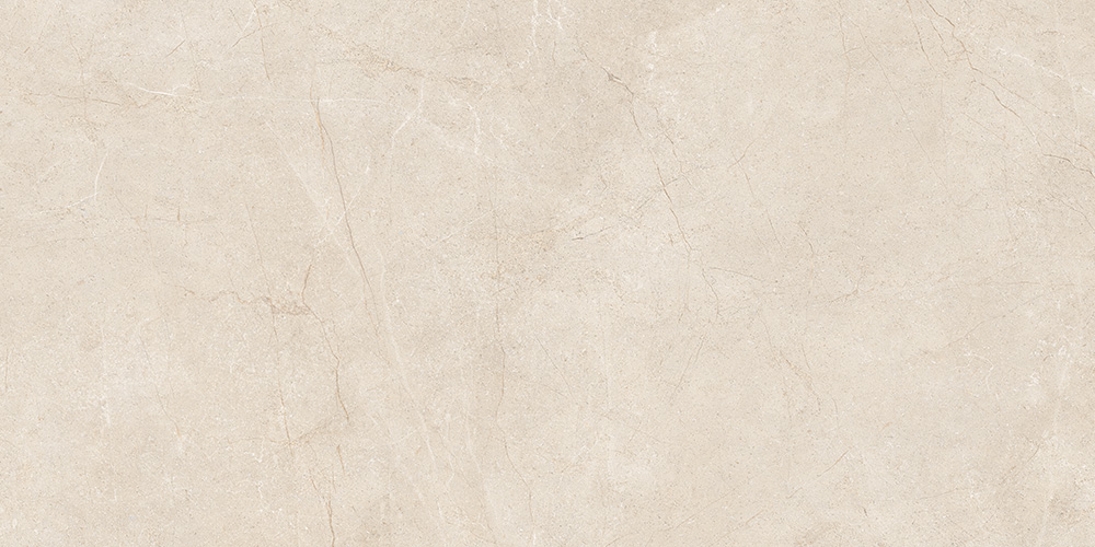 60x120 MoonLight Греж Матовый R10A