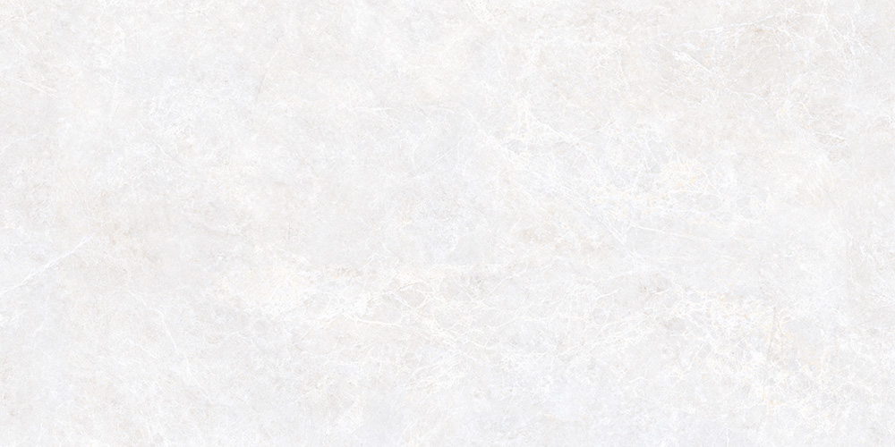 60x120 Emperador Белый Матовый R10A