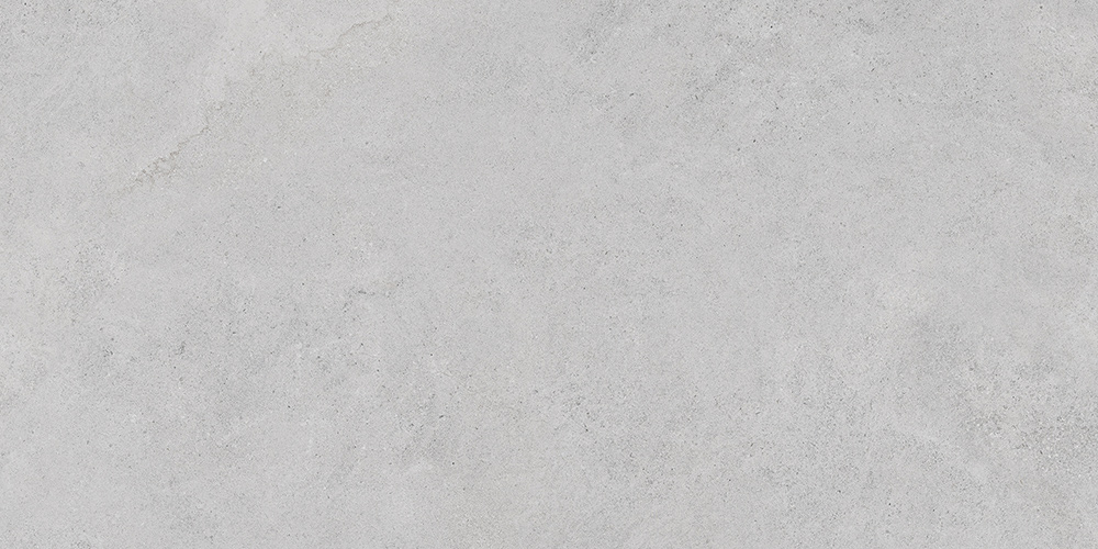 60x120 StoneS Боргония Клауд Серый Матовый R10A