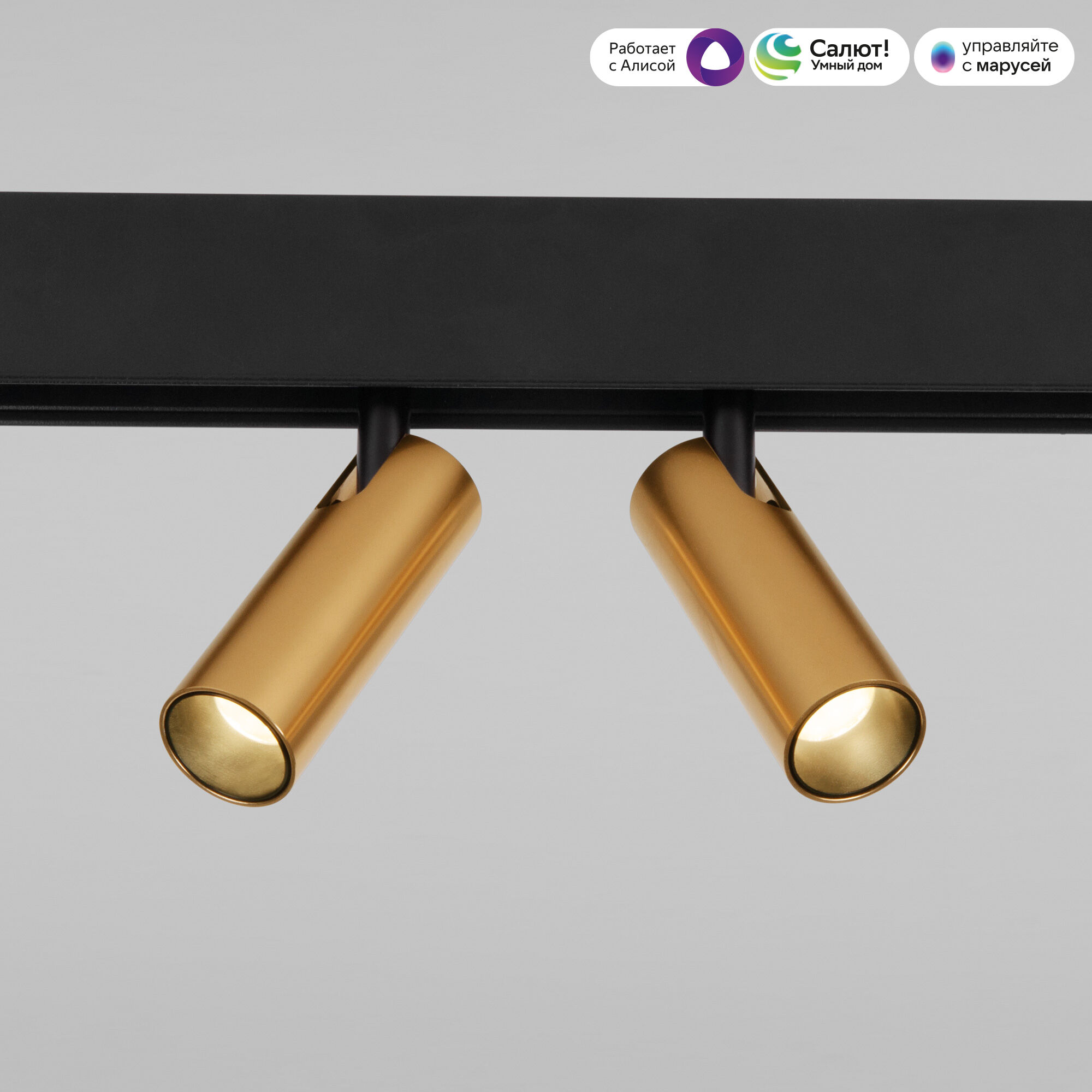 Slim Magnetic Умный трековый поворотный светильник 14W 2700-6500K Dim Dual латунь