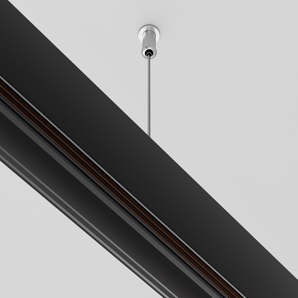 Подвес тросовый 2 шт. Exility черный Maytoni TRA034SW-2B