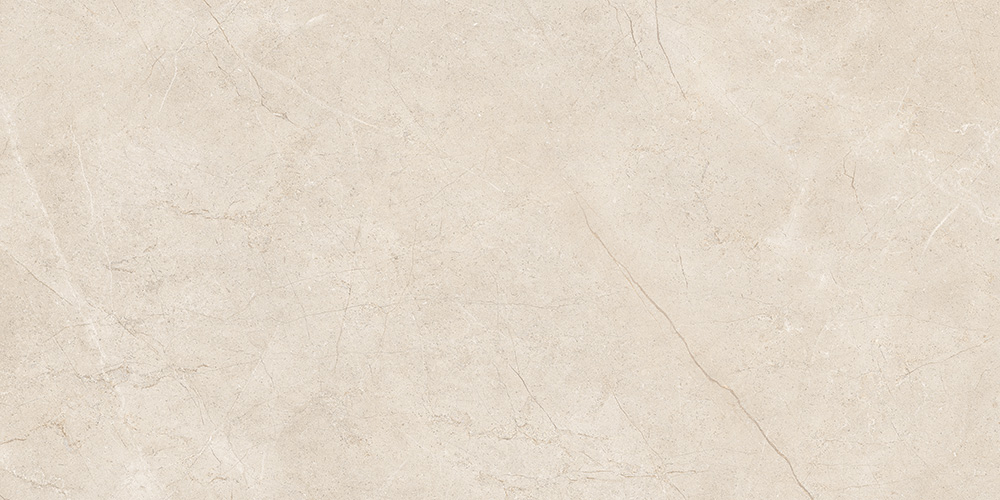 60x120 MoonLight Греж Матовый R10A