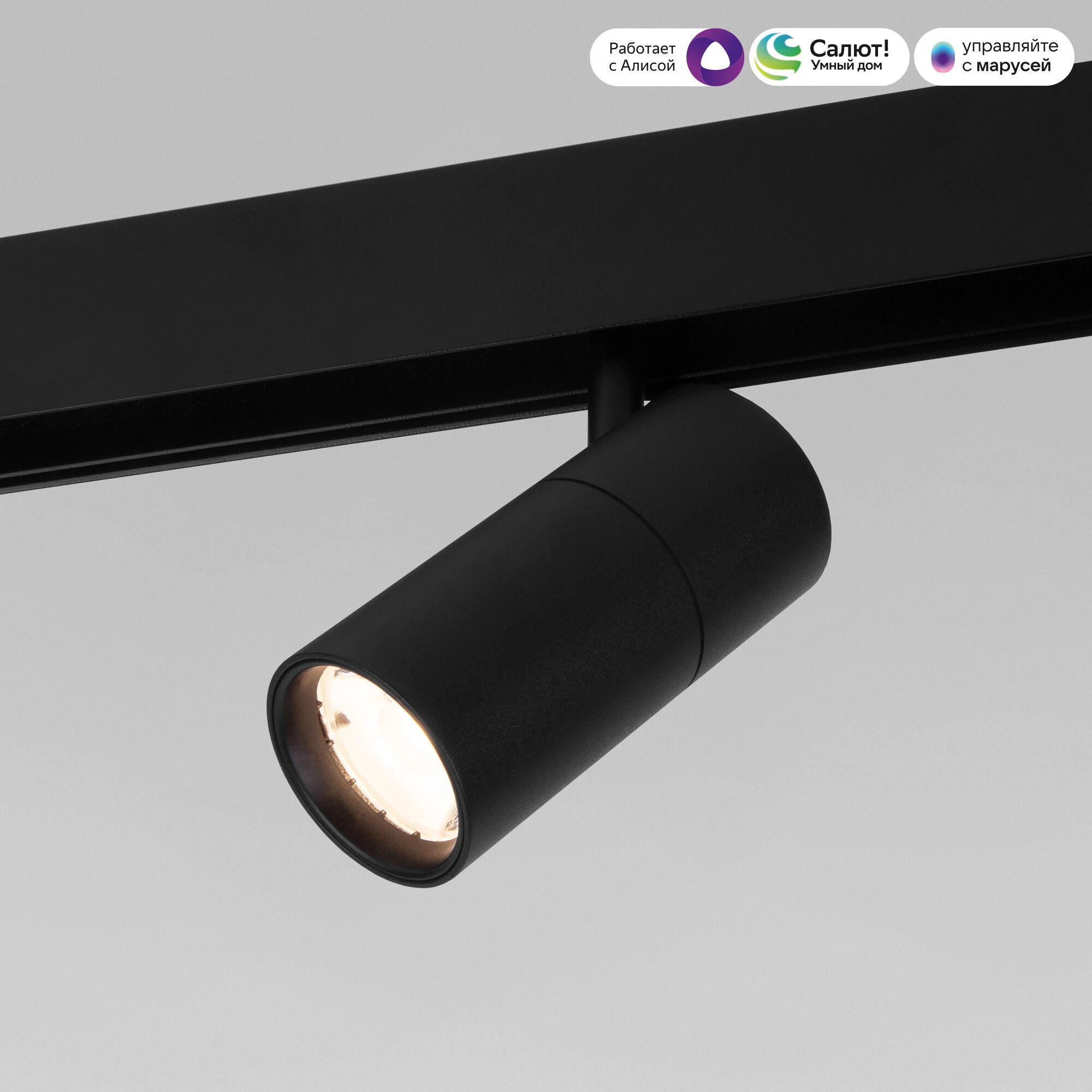 Slim Magnetic Умный трековый поворотный светильник 6W 2700-6500K Dim R01 чёрный