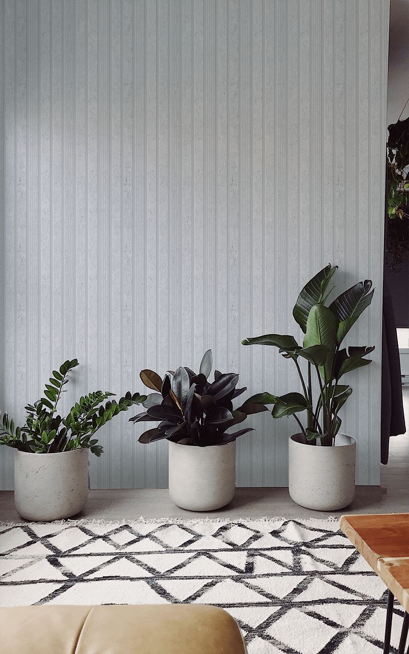 Панель LV124L W50 HIWOOD