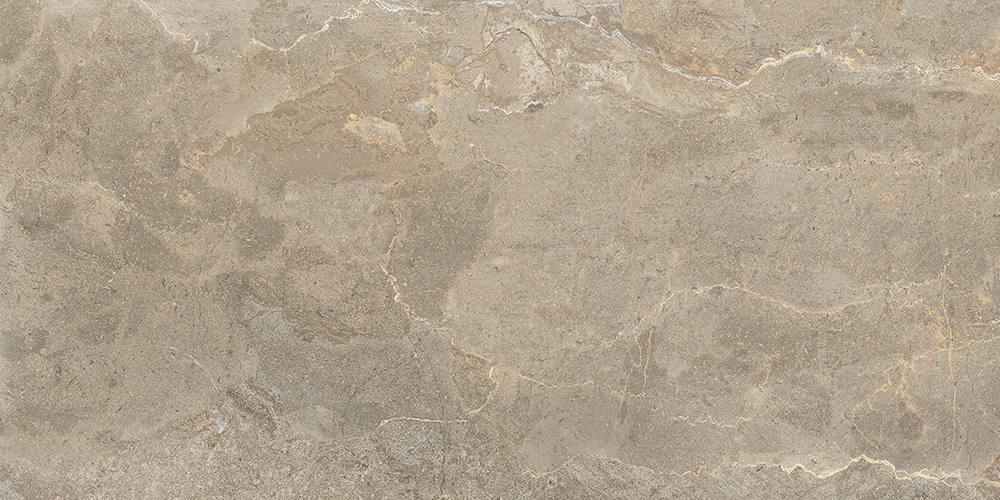 60x120 StoneS Пьетра Рома Табачный Матовый R10A