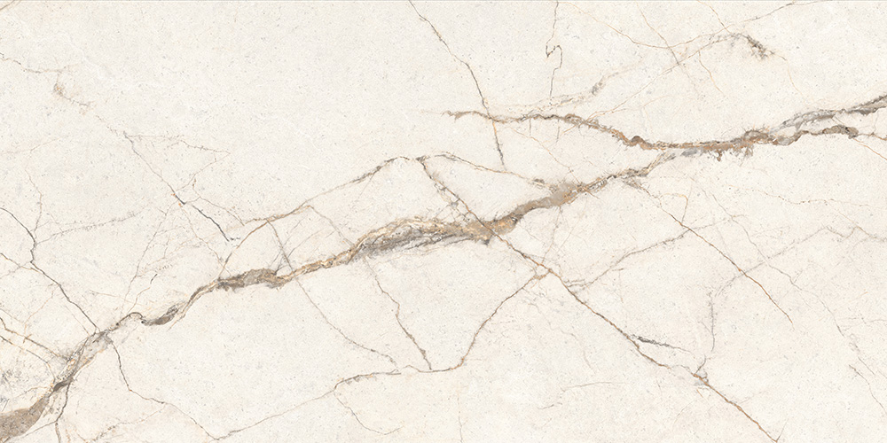60x120 SilverRoot Слоновая Кость Матовый R10A