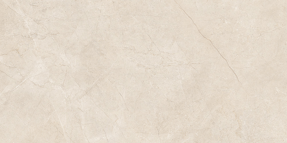 60x120 MoonLight Греж Матовый R10A