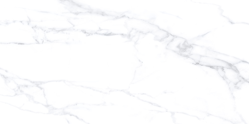 60x120 Statuario Белый Матовый R10A