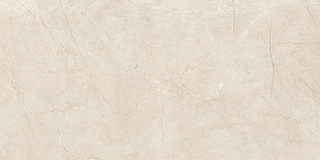 60x120 MoonLight Греж Матовый R10A