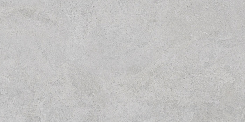 60x120 StoneS Боргония Клауд Серый Матовый R10A