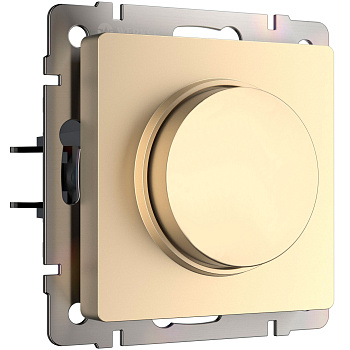 Диммер N (шампань) Werkel