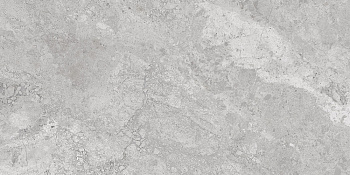 60x120 MarbleS Тундра Серый Лаппато R9