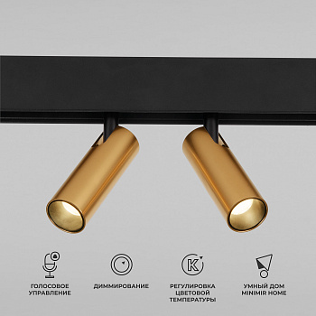 Slim Magnetic Умный трековый поворотный светильник 14W 2700-6500K Dim Dual латунь