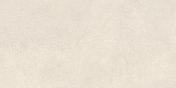60x120 SandBark Слоновая Кость Матовый R10B