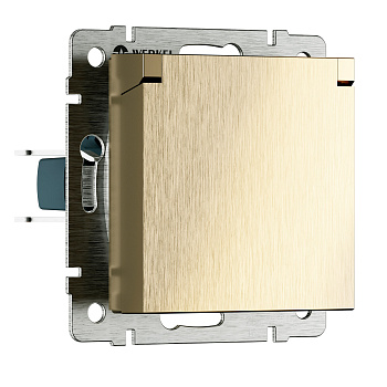 Розетка влагозащ. с зазем. с защит. крышкой и шторками N (шампань рифленый) Werkel