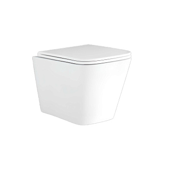 Унитаз подвесной безободковый Aquatek ДЕЛЬТА AQ1911-00 480*350*320 с сиденьем Soft Close