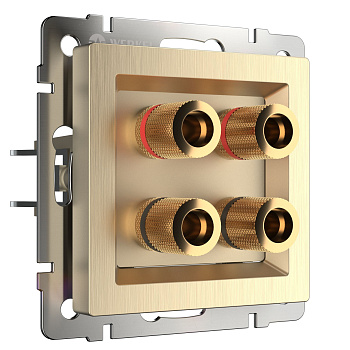 Акустическая розетка (шампань рифленый) Werkel